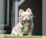 Small #8 Breeder Profile image