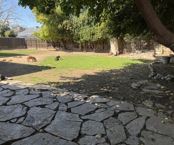 Medium Photo #6  Breeder Profile in FRESNO, CA, USA