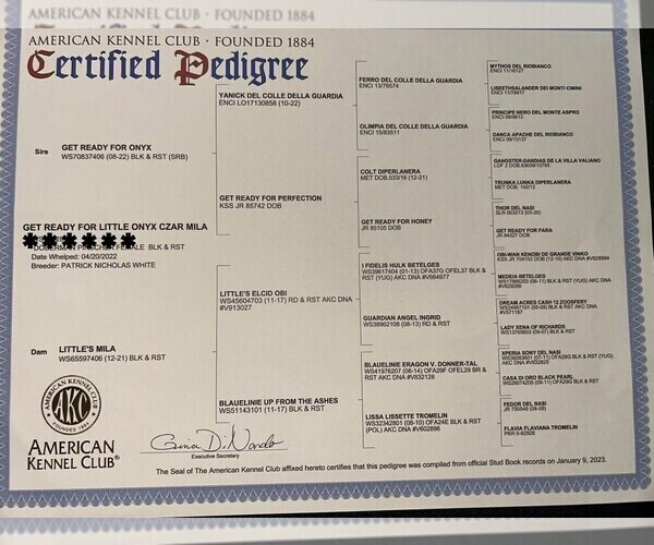 Medium Photo #14  Breeder Profile in KERNERSVILLE, NC, USA