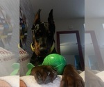 Small #13 Breeder Profile image