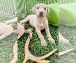 Small #2 Breeder Profile image