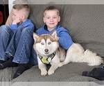 Small #47 Breeder Profile image