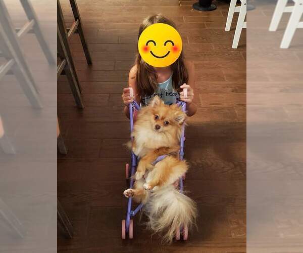 Medium Photo #5  Breeder Profile in NEW BRAUNFELS, TX, USA