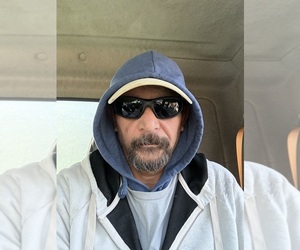 Pyredoodle (Toy) Dog Breeder near WINSTON SALEM, NC, USA