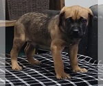 Small #8 Breeder Profile image