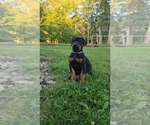 Small #37 Breeder Profile image