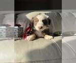 Small #47 Breeder Profile image