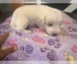 Small #15 Breeder Profile image