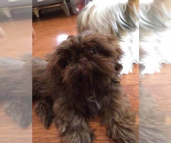 Medium Photo #1  Breeder Profile in GEORGETOWN, TX, USA