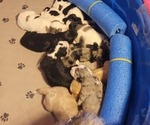 Small #23 Breeder Profile image