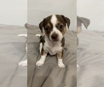 Small #2 Breeder Profile image