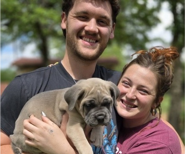 Medium Photo #4  Breeder Profile in BANGS, TX, USA