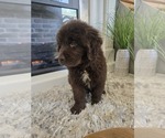 Small #22 Breeder Profile image