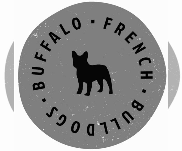 Medium Photo #1  Breeder Profile in EAST AMHERST, NY, USA