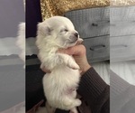 Small #12 Breeder Profile image