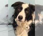 Small #11 Breeder Profile image