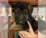 Small #2 Breeder Profile image