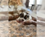 Small #7 Breeder Profile image