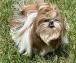 Small #9 Breeder Profile image