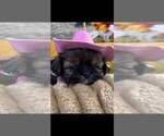 Small #16 Breeder Profile image
