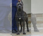 Small #6 Breeder Profile image