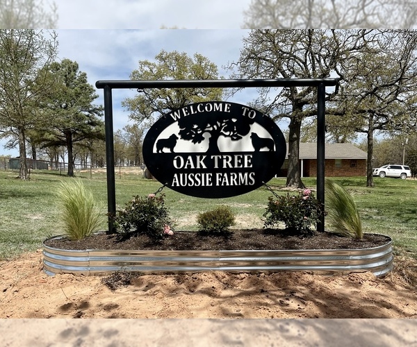 Medium Photo #1  Breeder Profile in TECUMSEH, OK, USA