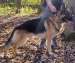 Small #7 Breeder Profile image