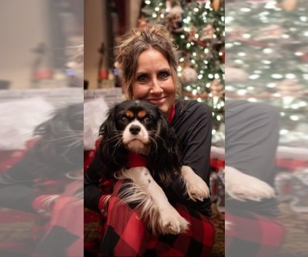 Medium Photo #1  Breeder Profile in WINFIELD, WV, USA