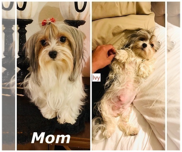 Medium Photo #2  Breeder Profile in FRESNO, CA, USA