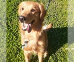 Small #3 Breeder Profile image