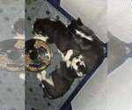 Small #22 Breeder Profile image