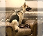 Small #4 Breeder Profile image