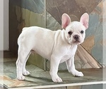 Small #5 Breeder Profile image