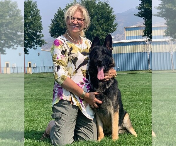 Medium Photo #3  Breeder Profile in SNOHOMISH, WA, USA