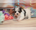 Small #3 Breeder Profile image