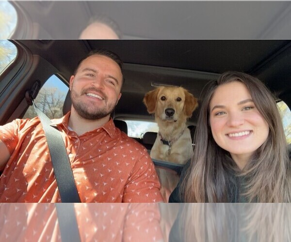 Medium Photo #1  Breeder Profile in DALLAS, TX, USA