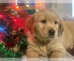 Small #4 Breeder Profile image