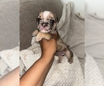 Small #2 Breeder Profile image