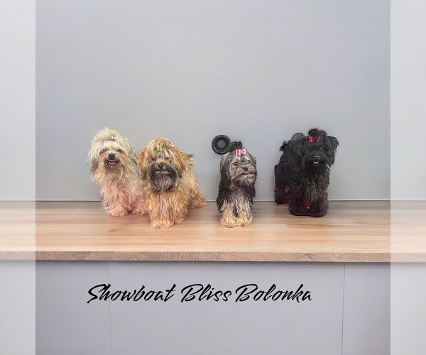 Medium Photo #2  Breeder Profile in THOMASTON, GA, USA