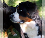 Small #5 Breeder Profile image