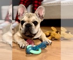 Small #3 Breeder Profile image