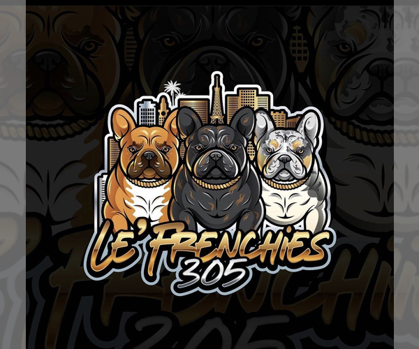 Medium Photo #1  Breeder Profile in MIAMI, FL, USA