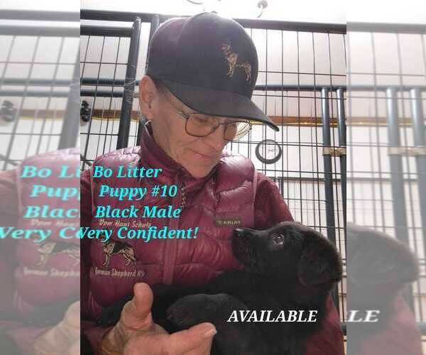 Medium Photo #1  Breeder Profile in PINE BUSH, NY, USA