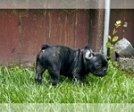 Small #11 Breeder Profile image