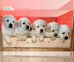 Small #10 Breeder Profile image