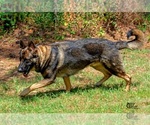 Small #2 Breeder Profile image