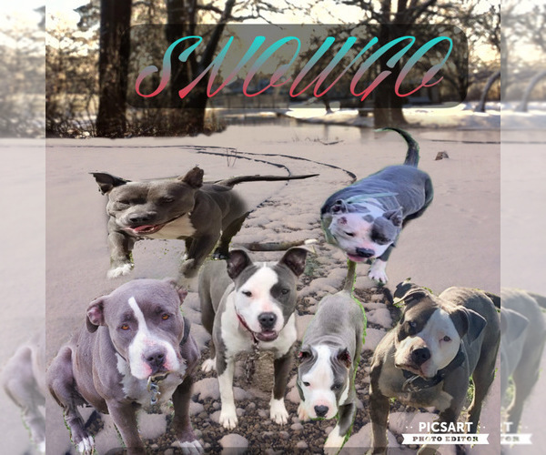 Medium Photo #1  Breeder Profile in SOMERVILLE, TX, USA