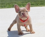 Small #10 Breeder Profile image