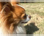 Small #43 Breeder Profile image