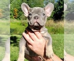 Small breeder photo